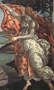 Sandro Botticelli The Birth of Venus oil painting artist